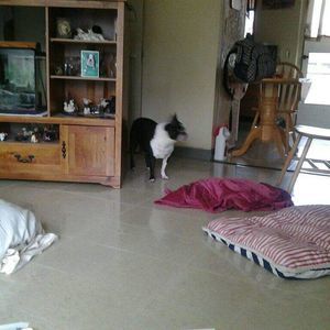 Meet your Posher, Roger